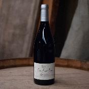 AOP Orléans rouge 2021 Clos Saint Fiacre