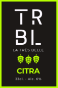 Bière blonde Citra Brasserie TRBL 33cl 6°