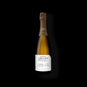Champagne Millésimé 2015 " Fons Dionisii" Domaine Collet