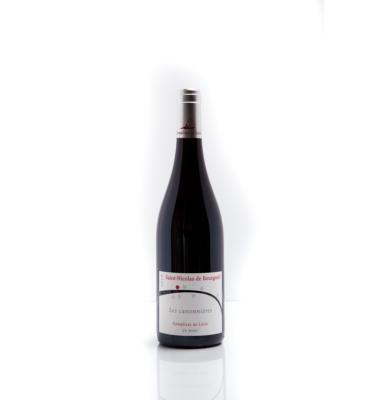 AOP Saint-Nicolas-de-Bourgueil « Les Canonnières » 2023 Complices de Loire.