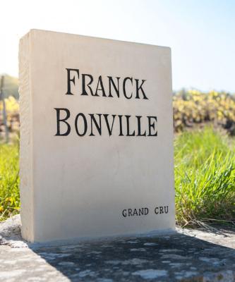 Demi bouteille Champagne Brut rosé Grand Cru Domaine Franck Bonville