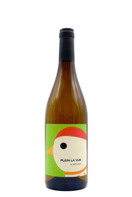 Vin de France bio 100% Sauvignon " Plein La Vue" blanc 2021 Jeff Carrel