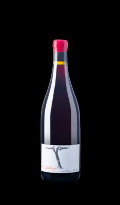 Vin de France 100% Pinot Noir " Les Cailloux" 2020  Domaine des Terres d'Ocre