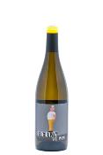 Vin de France bio " Point de Vue " blanc 2018 Jeff Carrel