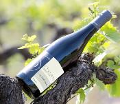 AOP Cheverny « L’intemporel » rouge 2024 Domaine Daridan